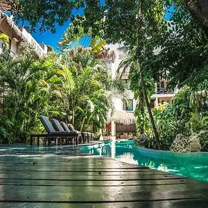 La Tortuga Y - Solo Adultos Playa del Carmen